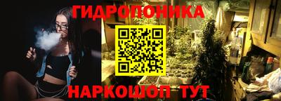 крисы Нягань