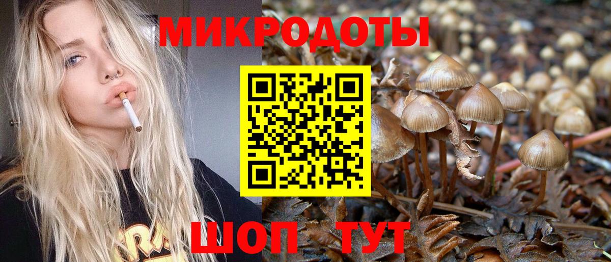 Галлюциногенные грибы мицелий Симферополь